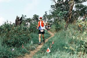 BIB: 
                            <button type="button" onclick="openModal(25542728)" class="btn btn-primary btn-sm float-right btn-popup" data-toggle="modal" data-target=".modal-high-quality">
                        <i class="fas fa-shopping-cart"></i> Add to Cart
                    </button>
                                            <button type="button" onclick="isThisMe(25542728, true)" class="btn btn-success btn-sm float-right btn-popup btn-isme hidden" data-toggle="tooltip" data-placement="bottom" title="นี่คือรูปของคุณใช่ไหม คลิกที่นี่เพื่อเอาเข้าอัลบั้ม">
                        <i class="fas fa-plus"></i> Add to album
                    </button>
                    <button type="button" onclick="isThisMe(25542728, false)" class="btn btn-warning btn-sm float-right btn-popup btn-isnotme hidden">
                        <i class="fas fa-ban"></i> Remove from album
                    </button>