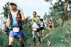 BIB: 
                            <button type="button" onclick="openModal(25544015)" class="btn btn-primary btn-sm float-right btn-popup" data-toggle="modal" data-target=".modal-high-quality">
                        <i class="fas fa-shopping-cart"></i> Add to Cart
                    </button>
                                            <button type="button" onclick="isThisMe(25544015, true)" class="btn btn-success btn-sm float-right btn-popup btn-isme hidden" data-toggle="tooltip" data-placement="bottom" title="นี่คือรูปของคุณใช่ไหม คลิกที่นี่เพื่อเอาเข้าอัลบั้ม">
                        <i class="fas fa-plus"></i> Add to album
                    </button>
                    <button type="button" onclick="isThisMe(25544015, false)" class="btn btn-warning btn-sm float-right btn-popup btn-isnotme hidden">
                        <i class="fas fa-ban"></i> Remove from album
                    </button>