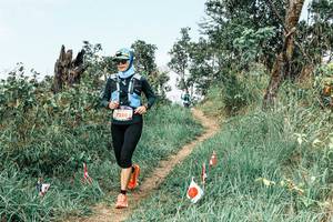 BIB: 
                            <button type="button" onclick="openModal(25546660)" class="btn btn-primary btn-sm float-right btn-popup" data-toggle="modal" data-target=".modal-high-quality">
                        <i class="fas fa-shopping-cart"></i> Add to Cart
                    </button>
                                            <button type="button" onclick="isThisMe(25546660, true)" class="btn btn-success btn-sm float-right btn-popup btn-isme hidden" data-toggle="tooltip" data-placement="bottom" title="นี่คือรูปของคุณใช่ไหม คลิกที่นี่เพื่อเอาเข้าอัลบั้ม">
                        <i class="fas fa-plus"></i> Add to album
                    </button>
                    <button type="button" onclick="isThisMe(25546660, false)" class="btn btn-warning btn-sm float-right btn-popup btn-isnotme hidden">
                        <i class="fas fa-ban"></i> Remove from album
                    </button>