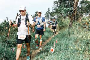 BIB: 
                            <button type="button" onclick="openModal(25553838)" class="btn btn-primary btn-sm float-right btn-popup" data-toggle="modal" data-target=".modal-high-quality">
                        <i class="fas fa-shopping-cart"></i> Add to Cart
                    </button>
                                            <button type="button" onclick="isThisMe(25553838, true)" class="btn btn-success btn-sm float-right btn-popup btn-isme hidden" data-toggle="tooltip" data-placement="bottom" title="นี่คือรูปของคุณใช่ไหม คลิกที่นี่เพื่อเอาเข้าอัลบั้ม">
                        <i class="fas fa-plus"></i> Add to album
                    </button>
                    <button type="button" onclick="isThisMe(25553838, false)" class="btn btn-warning btn-sm float-right btn-popup btn-isnotme hidden">
                        <i class="fas fa-ban"></i> Remove from album
                    </button>