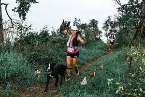 BIB: 
                            <button type="button" onclick="openModal(25595297)" class="btn btn-primary btn-sm float-right btn-popup" data-toggle="modal" data-target=".modal-high-quality">
                        <i class="fas fa-shopping-cart"></i> Add to Cart
                    </button>
                                            <button type="button" onclick="isThisMe(25595297, true)" class="btn btn-success btn-sm float-right btn-popup btn-isme hidden" data-toggle="tooltip" data-placement="bottom" title="นี่คือรูปของคุณใช่ไหม คลิกที่นี่เพื่อเอาเข้าอัลบั้ม">
                        <i class="fas fa-plus"></i> Add to album
                    </button>
                    <button type="button" onclick="isThisMe(25595297, false)" class="btn btn-warning btn-sm float-right btn-popup btn-isnotme hidden">
                        <i class="fas fa-ban"></i> Remove from album
                    </button>