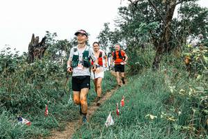 BIB: 
                            <button type="button" onclick="openModal(25571112)" class="btn btn-primary btn-sm float-right btn-popup" data-toggle="modal" data-target=".modal-high-quality">
                        <i class="fas fa-shopping-cart"></i> Add to Cart
                    </button>
                                            <button type="button" onclick="isThisMe(25571112, true)" class="btn btn-success btn-sm float-right btn-popup btn-isme hidden" data-toggle="tooltip" data-placement="bottom" title="นี่คือรูปของคุณใช่ไหม คลิกที่นี่เพื่อเอาเข้าอัลบั้ม">
                        <i class="fas fa-plus"></i> Add to album
                    </button>
                    <button type="button" onclick="isThisMe(25571112, false)" class="btn btn-warning btn-sm float-right btn-popup btn-isnotme hidden">
                        <i class="fas fa-ban"></i> Remove from album
                    </button>