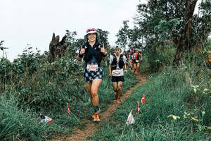 BIB: 
                            <button type="button" onclick="openModal(25576995)" class="btn btn-primary btn-sm float-right btn-popup" data-toggle="modal" data-target=".modal-high-quality">
                        <i class="fas fa-shopping-cart"></i> Add to Cart
                    </button>
                                            <button type="button" onclick="isThisMe(25576995, true)" class="btn btn-success btn-sm float-right btn-popup btn-isme hidden" data-toggle="tooltip" data-placement="bottom" title="นี่คือรูปของคุณใช่ไหม คลิกที่นี่เพื่อเอาเข้าอัลบั้ม">
                        <i class="fas fa-plus"></i> Add to album
                    </button>
                    <button type="button" onclick="isThisMe(25576995, false)" class="btn btn-warning btn-sm float-right btn-popup btn-isnotme hidden">
                        <i class="fas fa-ban"></i> Remove from album
                    </button>