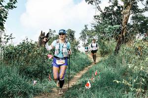 BIB: 
                            <button type="button" onclick="openModal(25536635)" class="btn btn-primary btn-sm float-right btn-popup" data-toggle="modal" data-target=".modal-high-quality">
                        <i class="fas fa-shopping-cart"></i> Add to Cart
                    </button>
                                            <button type="button" onclick="isThisMe(25536635, true)" class="btn btn-success btn-sm float-right btn-popup btn-isme hidden" data-toggle="tooltip" data-placement="bottom" title="นี่คือรูปของคุณใช่ไหม คลิกที่นี่เพื่อเอาเข้าอัลบั้ม">
                        <i class="fas fa-plus"></i> Add to album
                    </button>
                    <button type="button" onclick="isThisMe(25536635, false)" class="btn btn-warning btn-sm float-right btn-popup btn-isnotme hidden">
                        <i class="fas fa-ban"></i> Remove from album
                    </button>