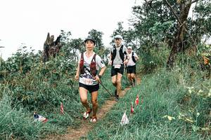 BIB: 
                            <button type="button" onclick="openModal(25575288)" class="btn btn-primary btn-sm float-right btn-popup" data-toggle="modal" data-target=".modal-high-quality">
                        <i class="fas fa-shopping-cart"></i> Add to Cart
                    </button>
                                            <button type="button" onclick="isThisMe(25575288, true)" class="btn btn-success btn-sm float-right btn-popup btn-isme hidden" data-toggle="tooltip" data-placement="bottom" title="นี่คือรูปของคุณใช่ไหม คลิกที่นี่เพื่อเอาเข้าอัลบั้ม">
                        <i class="fas fa-plus"></i> Add to album
                    </button>
                    <button type="button" onclick="isThisMe(25575288, false)" class="btn btn-warning btn-sm float-right btn-popup btn-isnotme hidden">
                        <i class="fas fa-ban"></i> Remove from album
                    </button>