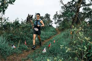 BIB: 
                            <button type="button" onclick="openModal(25595779)" class="btn btn-primary btn-sm float-right btn-popup" data-toggle="modal" data-target=".modal-high-quality">
                        <i class="fas fa-shopping-cart"></i> Add to Cart
                    </button>
                                            <button type="button" onclick="isThisMe(25595779, true)" class="btn btn-success btn-sm float-right btn-popup btn-isme hidden" data-toggle="tooltip" data-placement="bottom" title="นี่คือรูปของคุณใช่ไหม คลิกที่นี่เพื่อเอาเข้าอัลบั้ม">
                        <i class="fas fa-plus"></i> Add to album
                    </button>
                    <button type="button" onclick="isThisMe(25595779, false)" class="btn btn-warning btn-sm float-right btn-popup btn-isnotme hidden">
                        <i class="fas fa-ban"></i> Remove from album
                    </button>