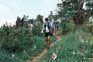 BIB: 
                            <button type="button" onclick="openModal(25545508)" class="btn btn-primary btn-sm float-right btn-popup" data-toggle="modal" data-target=".modal-high-quality">
                        <i class="fas fa-shopping-cart"></i> Add to Cart
                    </button>
                                            <button type="button" onclick="isThisMe(25545508, true)" class="btn btn-success btn-sm float-right btn-popup btn-isme hidden" data-toggle="tooltip" data-placement="bottom" title="นี่คือรูปของคุณใช่ไหม คลิกที่นี่เพื่อเอาเข้าอัลบั้ม">
                        <i class="fas fa-plus"></i> Add to album
                    </button>
                    <button type="button" onclick="isThisMe(25545508, false)" class="btn btn-warning btn-sm float-right btn-popup btn-isnotme hidden">
                        <i class="fas fa-ban"></i> Remove from album
                    </button>