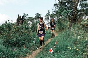 BIB: 
                            <button type="button" onclick="openModal(25541848)" class="btn btn-primary btn-sm float-right btn-popup" data-toggle="modal" data-target=".modal-high-quality">
                        <i class="fas fa-shopping-cart"></i> Add to Cart
                    </button>
                                            <button type="button" onclick="isThisMe(25541848, true)" class="btn btn-success btn-sm float-right btn-popup btn-isme hidden" data-toggle="tooltip" data-placement="bottom" title="นี่คือรูปของคุณใช่ไหม คลิกที่นี่เพื่อเอาเข้าอัลบั้ม">
                        <i class="fas fa-plus"></i> Add to album
                    </button>
                    <button type="button" onclick="isThisMe(25541848, false)" class="btn btn-warning btn-sm float-right btn-popup btn-isnotme hidden">
                        <i class="fas fa-ban"></i> Remove from album
                    </button>