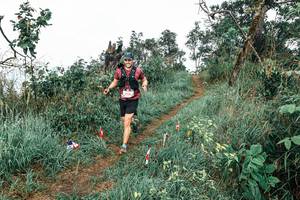 BIB: 
                            <button type="button" onclick="openModal(25602896)" class="btn btn-primary btn-sm float-right btn-popup" data-toggle="modal" data-target=".modal-high-quality">
                        <i class="fas fa-shopping-cart"></i> Add to Cart
                    </button>
                                            <button type="button" onclick="isThisMe(25602896, true)" class="btn btn-success btn-sm float-right btn-popup btn-isme hidden" data-toggle="tooltip" data-placement="bottom" title="นี่คือรูปของคุณใช่ไหม คลิกที่นี่เพื่อเอาเข้าอัลบั้ม">
                        <i class="fas fa-plus"></i> Add to album
                    </button>
                    <button type="button" onclick="isThisMe(25602896, false)" class="btn btn-warning btn-sm float-right btn-popup btn-isnotme hidden">
                        <i class="fas fa-ban"></i> Remove from album
                    </button>