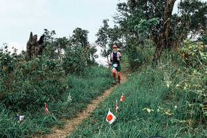 BIB: 
                            <button type="button" onclick="openModal(25549494)" class="btn btn-primary btn-sm float-right btn-popup" data-toggle="modal" data-target=".modal-high-quality">
                        <i class="fas fa-shopping-cart"></i> Add to Cart
                    </button>
                                            <button type="button" onclick="isThisMe(25549494, true)" class="btn btn-success btn-sm float-right btn-popup btn-isme hidden" data-toggle="tooltip" data-placement="bottom" title="นี่คือรูปของคุณใช่ไหม คลิกที่นี่เพื่อเอาเข้าอัลบั้ม">
                        <i class="fas fa-plus"></i> Add to album
                    </button>
                    <button type="button" onclick="isThisMe(25549494, false)" class="btn btn-warning btn-sm float-right btn-popup btn-isnotme hidden">
                        <i class="fas fa-ban"></i> Remove from album
                    </button>