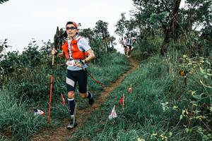 BIB: 
                            <button type="button" onclick="openModal(25593642)" class="btn btn-primary btn-sm float-right btn-popup" data-toggle="modal" data-target=".modal-high-quality">
                        <i class="fas fa-shopping-cart"></i> Add to Cart
                    </button>
                                            <button type="button" onclick="isThisMe(25593642, true)" class="btn btn-success btn-sm float-right btn-popup btn-isme hidden" data-toggle="tooltip" data-placement="bottom" title="นี่คือรูปของคุณใช่ไหม คลิกที่นี่เพื่อเอาเข้าอัลบั้ม">
                        <i class="fas fa-plus"></i> Add to album
                    </button>
                    <button type="button" onclick="isThisMe(25593642, false)" class="btn btn-warning btn-sm float-right btn-popup btn-isnotme hidden">
                        <i class="fas fa-ban"></i> Remove from album
                    </button>