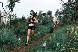 BIB: 
                            <button type="button" onclick="openModal(25595782)" class="btn btn-primary btn-sm float-right btn-popup" data-toggle="modal" data-target=".modal-high-quality">
                        <i class="fas fa-shopping-cart"></i> Add to Cart
                    </button>
                                            <button type="button" onclick="isThisMe(25595782, true)" class="btn btn-success btn-sm float-right btn-popup btn-isme hidden" data-toggle="tooltip" data-placement="bottom" title="นี่คือรูปของคุณใช่ไหม คลิกที่นี่เพื่อเอาเข้าอัลบั้ม">
                        <i class="fas fa-plus"></i> Add to album
                    </button>
                    <button type="button" onclick="isThisMe(25595782, false)" class="btn btn-warning btn-sm float-right btn-popup btn-isnotme hidden">
                        <i class="fas fa-ban"></i> Remove from album
                    </button>