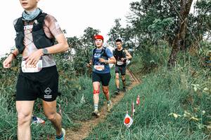 BIB: 
                            <button type="button" onclick="openModal(25561539)" class="btn btn-primary btn-sm float-right btn-popup" data-toggle="modal" data-target=".modal-high-quality">
                        <i class="fas fa-shopping-cart"></i> Add to Cart
                    </button>
                                            <button type="button" onclick="isThisMe(25561539, true)" class="btn btn-success btn-sm float-right btn-popup btn-isme hidden" data-toggle="tooltip" data-placement="bottom" title="นี่คือรูปของคุณใช่ไหม คลิกที่นี่เพื่อเอาเข้าอัลบั้ม">
                        <i class="fas fa-plus"></i> Add to album
                    </button>
                    <button type="button" onclick="isThisMe(25561539, false)" class="btn btn-warning btn-sm float-right btn-popup btn-isnotme hidden">
                        <i class="fas fa-ban"></i> Remove from album
                    </button>