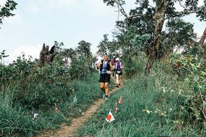 BIB: 
                            <button type="button" onclick="openModal(25541409)" class="btn btn-primary btn-sm float-right btn-popup" data-toggle="modal" data-target=".modal-high-quality">
                        <i class="fas fa-shopping-cart"></i> Add to Cart
                    </button>
                                            <button type="button" onclick="isThisMe(25541409, true)" class="btn btn-success btn-sm float-right btn-popup btn-isme hidden" data-toggle="tooltip" data-placement="bottom" title="นี่คือรูปของคุณใช่ไหม คลิกที่นี่เพื่อเอาเข้าอัลบั้ม">
                        <i class="fas fa-plus"></i> Add to album
                    </button>
                    <button type="button" onclick="isThisMe(25541409, false)" class="btn btn-warning btn-sm float-right btn-popup btn-isnotme hidden">
                        <i class="fas fa-ban"></i> Remove from album
                    </button>