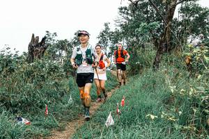 BIB: 
                            <button type="button" onclick="openModal(25571108)" class="btn btn-primary btn-sm float-right btn-popup" data-toggle="modal" data-target=".modal-high-quality">
                        <i class="fas fa-shopping-cart"></i> Add to Cart
                    </button>
                                            <button type="button" onclick="isThisMe(25571108, true)" class="btn btn-success btn-sm float-right btn-popup btn-isme hidden" data-toggle="tooltip" data-placement="bottom" title="นี่คือรูปของคุณใช่ไหม คลิกที่นี่เพื่อเอาเข้าอัลบั้ม">
                        <i class="fas fa-plus"></i> Add to album
                    </button>
                    <button type="button" onclick="isThisMe(25571108, false)" class="btn btn-warning btn-sm float-right btn-popup btn-isnotme hidden">
                        <i class="fas fa-ban"></i> Remove from album
                    </button>