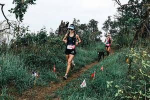 BIB: 
                            <button type="button" onclick="openModal(25595747)" class="btn btn-primary btn-sm float-right btn-popup" data-toggle="modal" data-target=".modal-high-quality">
                        <i class="fas fa-shopping-cart"></i> Add to Cart
                    </button>
                                            <button type="button" onclick="isThisMe(25595747, true)" class="btn btn-success btn-sm float-right btn-popup btn-isme hidden" data-toggle="tooltip" data-placement="bottom" title="นี่คือรูปของคุณใช่ไหม คลิกที่นี่เพื่อเอาเข้าอัลบั้ม">
                        <i class="fas fa-plus"></i> Add to album
                    </button>
                    <button type="button" onclick="isThisMe(25595747, false)" class="btn btn-warning btn-sm float-right btn-popup btn-isnotme hidden">
                        <i class="fas fa-ban"></i> Remove from album
                    </button>