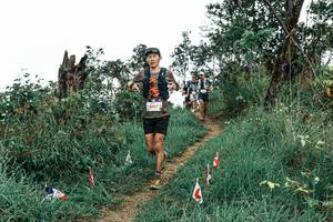 BIB: 
                            <button type="button" onclick="openModal(25562803)" class="btn btn-primary btn-sm float-right btn-popup" data-toggle="modal" data-target=".modal-high-quality">
                        <i class="fas fa-shopping-cart"></i> Add to Cart
                    </button>
                                            <button type="button" onclick="isThisMe(25562803, true)" class="btn btn-success btn-sm float-right btn-popup btn-isme hidden" data-toggle="tooltip" data-placement="bottom" title="นี่คือรูปของคุณใช่ไหม คลิกที่นี่เพื่อเอาเข้าอัลบั้ม">
                        <i class="fas fa-plus"></i> Add to album
                    </button>
                    <button type="button" onclick="isThisMe(25562803, false)" class="btn btn-warning btn-sm float-right btn-popup btn-isnotme hidden">
                        <i class="fas fa-ban"></i> Remove from album
                    </button>