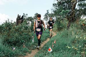 BIB: 
                            <button type="button" onclick="openModal(25541832)" class="btn btn-primary btn-sm float-right btn-popup" data-toggle="modal" data-target=".modal-high-quality">
                        <i class="fas fa-shopping-cart"></i> Add to Cart
                    </button>
                                            <button type="button" onclick="isThisMe(25541832, true)" class="btn btn-success btn-sm float-right btn-popup btn-isme hidden" data-toggle="tooltip" data-placement="bottom" title="นี่คือรูปของคุณใช่ไหม คลิกที่นี่เพื่อเอาเข้าอัลบั้ม">
                        <i class="fas fa-plus"></i> Add to album
                    </button>
                    <button type="button" onclick="isThisMe(25541832, false)" class="btn btn-warning btn-sm float-right btn-popup btn-isnotme hidden">
                        <i class="fas fa-ban"></i> Remove from album
                    </button>