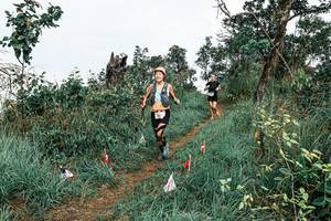 BIB: 
                            <button type="button" onclick="openModal(25596312)" class="btn btn-primary btn-sm float-right btn-popup" data-toggle="modal" data-target=".modal-high-quality">
                        <i class="fas fa-shopping-cart"></i> Add to Cart
                    </button>
                                            <button type="button" onclick="isThisMe(25596312, true)" class="btn btn-success btn-sm float-right btn-popup btn-isme hidden" data-toggle="tooltip" data-placement="bottom" title="นี่คือรูปของคุณใช่ไหม คลิกที่นี่เพื่อเอาเข้าอัลบั้ม">
                        <i class="fas fa-plus"></i> Add to album
                    </button>
                    <button type="button" onclick="isThisMe(25596312, false)" class="btn btn-warning btn-sm float-right btn-popup btn-isnotme hidden">
                        <i class="fas fa-ban"></i> Remove from album
                    </button>