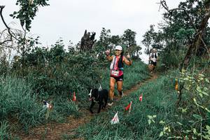 BIB: 
                            <button type="button" onclick="openModal(25595505)" class="btn btn-primary btn-sm float-right btn-popup" data-toggle="modal" data-target=".modal-high-quality">
                        <i class="fas fa-shopping-cart"></i> Add to Cart
                    </button>
                                            <button type="button" onclick="isThisMe(25595505, true)" class="btn btn-success btn-sm float-right btn-popup btn-isme hidden" data-toggle="tooltip" data-placement="bottom" title="นี่คือรูปของคุณใช่ไหม คลิกที่นี่เพื่อเอาเข้าอัลบั้ม">
                        <i class="fas fa-plus"></i> Add to album
                    </button>
                    <button type="button" onclick="isThisMe(25595505, false)" class="btn btn-warning btn-sm float-right btn-popup btn-isnotme hidden">
                        <i class="fas fa-ban"></i> Remove from album
                    </button>