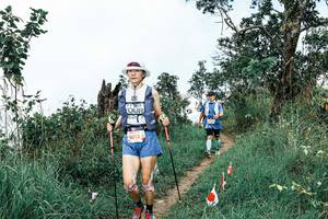 BIB: 
                            <button type="button" onclick="openModal(25532173)" class="btn btn-primary btn-sm float-right btn-popup" data-toggle="modal" data-target=".modal-high-quality">
                        <i class="fas fa-shopping-cart"></i> Add to Cart
                    </button>
                                            <button type="button" onclick="isThisMe(25532173, true)" class="btn btn-success btn-sm float-right btn-popup btn-isme hidden" data-toggle="tooltip" data-placement="bottom" title="นี่คือรูปของคุณใช่ไหม คลิกที่นี่เพื่อเอาเข้าอัลบั้ม">
                        <i class="fas fa-plus"></i> Add to album
                    </button>
                    <button type="button" onclick="isThisMe(25532173, false)" class="btn btn-warning btn-sm float-right btn-popup btn-isnotme hidden">
                        <i class="fas fa-ban"></i> Remove from album
                    </button>