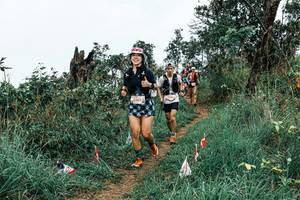 BIB: 
                            <button type="button" onclick="openModal(25576980)" class="btn btn-primary btn-sm float-right btn-popup" data-toggle="modal" data-target=".modal-high-quality">
                        <i class="fas fa-shopping-cart"></i> Add to Cart
                    </button>
                                            <button type="button" onclick="isThisMe(25576980, true)" class="btn btn-success btn-sm float-right btn-popup btn-isme hidden" data-toggle="tooltip" data-placement="bottom" title="นี่คือรูปของคุณใช่ไหม คลิกที่นี่เพื่อเอาเข้าอัลบั้ม">
                        <i class="fas fa-plus"></i> Add to album
                    </button>
                    <button type="button" onclick="isThisMe(25576980, false)" class="btn btn-warning btn-sm float-right btn-popup btn-isnotme hidden">
                        <i class="fas fa-ban"></i> Remove from album
                    </button>