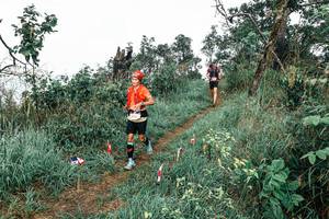 BIB: 
                            <button type="button" onclick="openModal(25602915)" class="btn btn-primary btn-sm float-right btn-popup" data-toggle="modal" data-target=".modal-high-quality">
                        <i class="fas fa-shopping-cart"></i> Add to Cart
                    </button>
                                            <button type="button" onclick="isThisMe(25602915, true)" class="btn btn-success btn-sm float-right btn-popup btn-isme hidden" data-toggle="tooltip" data-placement="bottom" title="นี่คือรูปของคุณใช่ไหม คลิกที่นี่เพื่อเอาเข้าอัลบั้ม">
                        <i class="fas fa-plus"></i> Add to album
                    </button>
                    <button type="button" onclick="isThisMe(25602915, false)" class="btn btn-warning btn-sm float-right btn-popup btn-isnotme hidden">
                        <i class="fas fa-ban"></i> Remove from album
                    </button>