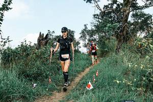 BIB: 
                            <button type="button" onclick="openModal(25540914)" class="btn btn-primary btn-sm float-right btn-popup" data-toggle="modal" data-target=".modal-high-quality">
                        <i class="fas fa-shopping-cart"></i> Add to Cart
                    </button>
                                            <button type="button" onclick="isThisMe(25540914, true)" class="btn btn-success btn-sm float-right btn-popup btn-isme hidden" data-toggle="tooltip" data-placement="bottom" title="นี่คือรูปของคุณใช่ไหม คลิกที่นี่เพื่อเอาเข้าอัลบั้ม">
                        <i class="fas fa-plus"></i> Add to album
                    </button>
                    <button type="button" onclick="isThisMe(25540914, false)" class="btn btn-warning btn-sm float-right btn-popup btn-isnotme hidden">
                        <i class="fas fa-ban"></i> Remove from album
                    </button>