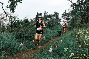 BIB: 
                            <button type="button" onclick="openModal(25595755)" class="btn btn-primary btn-sm float-right btn-popup" data-toggle="modal" data-target=".modal-high-quality">
                        <i class="fas fa-shopping-cart"></i> Add to Cart
                    </button>
                                            <button type="button" onclick="isThisMe(25595755, true)" class="btn btn-success btn-sm float-right btn-popup btn-isme hidden" data-toggle="tooltip" data-placement="bottom" title="นี่คือรูปของคุณใช่ไหม คลิกที่นี่เพื่อเอาเข้าอัลบั้ม">
                        <i class="fas fa-plus"></i> Add to album
                    </button>
                    <button type="button" onclick="isThisMe(25595755, false)" class="btn btn-warning btn-sm float-right btn-popup btn-isnotme hidden">
                        <i class="fas fa-ban"></i> Remove from album
                    </button>