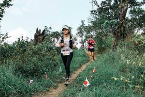 BIB: 
                            <button type="button" onclick="openModal(25541618)" class="btn btn-primary btn-sm float-right btn-popup" data-toggle="modal" data-target=".modal-high-quality">
                        <i class="fas fa-shopping-cart"></i> Add to Cart
                    </button>
                                            <button type="button" onclick="isThisMe(25541618, true)" class="btn btn-success btn-sm float-right btn-popup btn-isme hidden" data-toggle="tooltip" data-placement="bottom" title="นี่คือรูปของคุณใช่ไหม คลิกที่นี่เพื่อเอาเข้าอัลบั้ม">
                        <i class="fas fa-plus"></i> Add to album
                    </button>
                    <button type="button" onclick="isThisMe(25541618, false)" class="btn btn-warning btn-sm float-right btn-popup btn-isnotme hidden">
                        <i class="fas fa-ban"></i> Remove from album
                    </button>