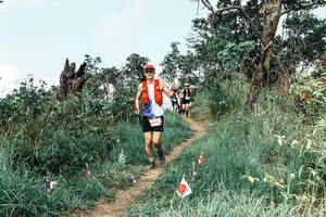 BIB: 
                            <button type="button" onclick="openModal(25542675)" class="btn btn-primary btn-sm float-right btn-popup" data-toggle="modal" data-target=".modal-high-quality">
                        <i class="fas fa-shopping-cart"></i> Add to Cart
                    </button>
                                            <button type="button" onclick="isThisMe(25542675, true)" class="btn btn-success btn-sm float-right btn-popup btn-isme hidden" data-toggle="tooltip" data-placement="bottom" title="นี่คือรูปของคุณใช่ไหม คลิกที่นี่เพื่อเอาเข้าอัลบั้ม">
                        <i class="fas fa-plus"></i> Add to album
                    </button>
                    <button type="button" onclick="isThisMe(25542675, false)" class="btn btn-warning btn-sm float-right btn-popup btn-isnotme hidden">
                        <i class="fas fa-ban"></i> Remove from album
                    </button>