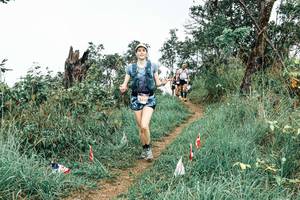 BIB: 
                            <button type="button" onclick="openModal(25576061)" class="btn btn-primary btn-sm float-right btn-popup" data-toggle="modal" data-target=".modal-high-quality">
                        <i class="fas fa-shopping-cart"></i> Add to Cart
                    </button>
                                            <button type="button" onclick="isThisMe(25576061, true)" class="btn btn-success btn-sm float-right btn-popup btn-isme hidden" data-toggle="tooltip" data-placement="bottom" title="นี่คือรูปของคุณใช่ไหม คลิกที่นี่เพื่อเอาเข้าอัลบั้ม">
                        <i class="fas fa-plus"></i> Add to album
                    </button>
                    <button type="button" onclick="isThisMe(25576061, false)" class="btn btn-warning btn-sm float-right btn-popup btn-isnotme hidden">
                        <i class="fas fa-ban"></i> Remove from album
                    </button>