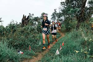 BIB: 
                            <button type="button" onclick="openModal(25576950)" class="btn btn-primary btn-sm float-right btn-popup" data-toggle="modal" data-target=".modal-high-quality">
                        <i class="fas fa-shopping-cart"></i> Add to Cart
                    </button>
                                            <button type="button" onclick="isThisMe(25576950, true)" class="btn btn-success btn-sm float-right btn-popup btn-isme hidden" data-toggle="tooltip" data-placement="bottom" title="นี่คือรูปของคุณใช่ไหม คลิกที่นี่เพื่อเอาเข้าอัลบั้ม">
                        <i class="fas fa-plus"></i> Add to album
                    </button>
                    <button type="button" onclick="isThisMe(25576950, false)" class="btn btn-warning btn-sm float-right btn-popup btn-isnotme hidden">
                        <i class="fas fa-ban"></i> Remove from album
                    </button>