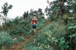 BIB: 
                            <button type="button" onclick="openModal(25602581)" class="btn btn-primary btn-sm float-right btn-popup" data-toggle="modal" data-target=".modal-high-quality">
                        <i class="fas fa-shopping-cart"></i> Add to Cart
                    </button>
                                            <button type="button" onclick="isThisMe(25602581, true)" class="btn btn-success btn-sm float-right btn-popup btn-isme hidden" data-toggle="tooltip" data-placement="bottom" title="นี่คือรูปของคุณใช่ไหม คลิกที่นี่เพื่อเอาเข้าอัลบั้ม">
                        <i class="fas fa-plus"></i> Add to album
                    </button>
                    <button type="button" onclick="isThisMe(25602581, false)" class="btn btn-warning btn-sm float-right btn-popup btn-isnotme hidden">
                        <i class="fas fa-ban"></i> Remove from album
                    </button>