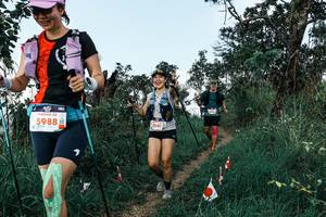 BIB: 
                            <button type="button" onclick="openModal(25539520)" class="btn btn-primary btn-sm float-right btn-popup" data-toggle="modal" data-target=".modal-high-quality">
                        <i class="fas fa-shopping-cart"></i> Add to Cart
                    </button>
                                            <button type="button" onclick="isThisMe(25539520, true)" class="btn btn-success btn-sm float-right btn-popup btn-isme hidden" data-toggle="tooltip" data-placement="bottom" title="นี่คือรูปของคุณใช่ไหม คลิกที่นี่เพื่อเอาเข้าอัลบั้ม">
                        <i class="fas fa-plus"></i> Add to album
                    </button>
                    <button type="button" onclick="isThisMe(25539520, false)" class="btn btn-warning btn-sm float-right btn-popup btn-isnotme hidden">
                        <i class="fas fa-ban"></i> Remove from album
                    </button>