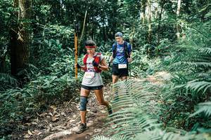 BIB: 
                            <button type="button" onclick="openModal(25516505)" class="btn btn-primary btn-sm float-right btn-popup" data-toggle="modal" data-target=".modal-high-quality">
                        <i class="fas fa-shopping-cart"></i> Add to Cart
                    </button>
                                            <button type="button" onclick="isThisMe(25516505, true)" class="btn btn-success btn-sm float-right btn-popup btn-isme hidden" data-toggle="tooltip" data-placement="bottom" title="นี่คือรูปของคุณใช่ไหม คลิกที่นี่เพื่อเอาเข้าอัลบั้ม">
                        <i class="fas fa-plus"></i> Add to album
                    </button>
                    <button type="button" onclick="isThisMe(25516505, false)" class="btn btn-warning btn-sm float-right btn-popup btn-isnotme hidden">
                        <i class="fas fa-ban"></i> Remove from album
                    </button>