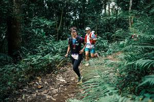 BIB: 
                            <button type="button" onclick="openModal(25521120)" class="btn btn-primary btn-sm float-right btn-popup" data-toggle="modal" data-target=".modal-high-quality">
                        <i class="fas fa-shopping-cart"></i> Add to Cart
                    </button>
                                            <button type="button" onclick="isThisMe(25521120, true)" class="btn btn-success btn-sm float-right btn-popup btn-isme hidden" data-toggle="tooltip" data-placement="bottom" title="นี่คือรูปของคุณใช่ไหม คลิกที่นี่เพื่อเอาเข้าอัลบั้ม">
                        <i class="fas fa-plus"></i> Add to album
                    </button>
                    <button type="button" onclick="isThisMe(25521120, false)" class="btn btn-warning btn-sm float-right btn-popup btn-isnotme hidden">
                        <i class="fas fa-ban"></i> Remove from album
                    </button>