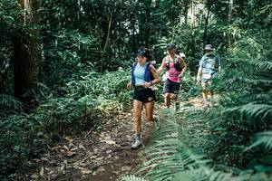 BIB: 
                            <button type="button" onclick="openModal(25518095)" class="btn btn-primary btn-sm float-right btn-popup" data-toggle="modal" data-target=".modal-high-quality">
                        <i class="fas fa-shopping-cart"></i> Add to Cart
                    </button>
                                            <button type="button" onclick="isThisMe(25518095, true)" class="btn btn-success btn-sm float-right btn-popup btn-isme hidden" data-toggle="tooltip" data-placement="bottom" title="นี่คือรูปของคุณใช่ไหม คลิกที่นี่เพื่อเอาเข้าอัลบั้ม">
                        <i class="fas fa-plus"></i> Add to album
                    </button>
                    <button type="button" onclick="isThisMe(25518095, false)" class="btn btn-warning btn-sm float-right btn-popup btn-isnotme hidden">
                        <i class="fas fa-ban"></i> Remove from album
                    </button>