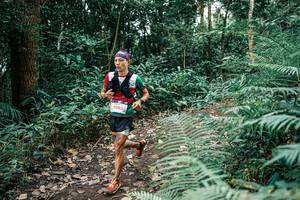 BIB: 
                            <button type="button" onclick="openModal(25503594)" class="btn btn-primary btn-sm float-right btn-popup" data-toggle="modal" data-target=".modal-high-quality">
                        <i class="fas fa-shopping-cart"></i> Add to Cart
                    </button>
                                            <button type="button" onclick="isThisMe(25503594, true)" class="btn btn-success btn-sm float-right btn-popup btn-isme hidden" data-toggle="tooltip" data-placement="bottom" title="นี่คือรูปของคุณใช่ไหม คลิกที่นี่เพื่อเอาเข้าอัลบั้ม">
                        <i class="fas fa-plus"></i> Add to album
                    </button>
                    <button type="button" onclick="isThisMe(25503594, false)" class="btn btn-warning btn-sm float-right btn-popup btn-isnotme hidden">
                        <i class="fas fa-ban"></i> Remove from album
                    </button>