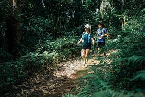 BIB: 
                            <button type="button" onclick="openModal(25520608)" class="btn btn-primary btn-sm float-right btn-popup" data-toggle="modal" data-target=".modal-high-quality">
                        <i class="fas fa-shopping-cart"></i> Add to Cart
                    </button>
                                            <button type="button" onclick="isThisMe(25520608, true)" class="btn btn-success btn-sm float-right btn-popup btn-isme hidden" data-toggle="tooltip" data-placement="bottom" title="นี่คือรูปของคุณใช่ไหม คลิกที่นี่เพื่อเอาเข้าอัลบั้ม">
                        <i class="fas fa-plus"></i> Add to album
                    </button>
                    <button type="button" onclick="isThisMe(25520608, false)" class="btn btn-warning btn-sm float-right btn-popup btn-isnotme hidden">
                        <i class="fas fa-ban"></i> Remove from album
                    </button>