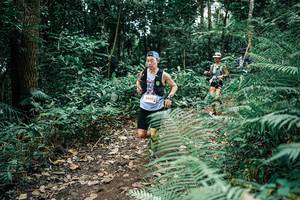 BIB: 
                            <button type="button" onclick="openModal(25507931)" class="btn btn-primary btn-sm float-right btn-popup" data-toggle="modal" data-target=".modal-high-quality">
                        <i class="fas fa-shopping-cart"></i> Add to Cart
                    </button>
                                            <button type="button" onclick="isThisMe(25507931, true)" class="btn btn-success btn-sm float-right btn-popup btn-isme hidden" data-toggle="tooltip" data-placement="bottom" title="นี่คือรูปของคุณใช่ไหม คลิกที่นี่เพื่อเอาเข้าอัลบั้ม">
                        <i class="fas fa-plus"></i> Add to album
                    </button>
                    <button type="button" onclick="isThisMe(25507931, false)" class="btn btn-warning btn-sm float-right btn-popup btn-isnotme hidden">
                        <i class="fas fa-ban"></i> Remove from album
                    </button>