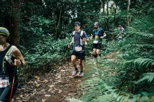 BIB: 
                            <button type="button" onclick="openModal(25510866)" class="btn btn-primary btn-sm float-right btn-popup" data-toggle="modal" data-target=".modal-high-quality">
                        <i class="fas fa-shopping-cart"></i> Add to Cart
                    </button>
                                            <button type="button" onclick="isThisMe(25510866, true)" class="btn btn-success btn-sm float-right btn-popup btn-isme hidden" data-toggle="tooltip" data-placement="bottom" title="นี่คือรูปของคุณใช่ไหม คลิกที่นี่เพื่อเอาเข้าอัลบั้ม">
                        <i class="fas fa-plus"></i> Add to album
                    </button>
                    <button type="button" onclick="isThisMe(25510866, false)" class="btn btn-warning btn-sm float-right btn-popup btn-isnotme hidden">
                        <i class="fas fa-ban"></i> Remove from album
                    </button>