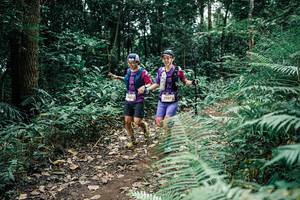 BIB: 
                            <button type="button" onclick="openModal(25509319)" class="btn btn-primary btn-sm float-right btn-popup" data-toggle="modal" data-target=".modal-high-quality">
                        <i class="fas fa-shopping-cart"></i> Add to Cart
                    </button>
                                            <button type="button" onclick="isThisMe(25509319, true)" class="btn btn-success btn-sm float-right btn-popup btn-isme hidden" data-toggle="tooltip" data-placement="bottom" title="นี่คือรูปของคุณใช่ไหม คลิกที่นี่เพื่อเอาเข้าอัลบั้ม">
                        <i class="fas fa-plus"></i> Add to album
                    </button>
                    <button type="button" onclick="isThisMe(25509319, false)" class="btn btn-warning btn-sm float-right btn-popup btn-isnotme hidden">
                        <i class="fas fa-ban"></i> Remove from album
                    </button>