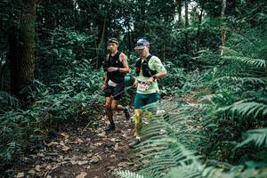 BIB: 
                            <button type="button" onclick="openModal(25507579)" class="btn btn-primary btn-sm float-right btn-popup" data-toggle="modal" data-target=".modal-high-quality">
                        <i class="fas fa-shopping-cart"></i> Add to Cart
                    </button>
                                            <button type="button" onclick="isThisMe(25507579, true)" class="btn btn-success btn-sm float-right btn-popup btn-isme hidden" data-toggle="tooltip" data-placement="bottom" title="นี่คือรูปของคุณใช่ไหม คลิกที่นี่เพื่อเอาเข้าอัลบั้ม">
                        <i class="fas fa-plus"></i> Add to album
                    </button>
                    <button type="button" onclick="isThisMe(25507579, false)" class="btn btn-warning btn-sm float-right btn-popup btn-isnotme hidden">
                        <i class="fas fa-ban"></i> Remove from album
                    </button>