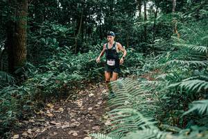 BIB: 
                            <button type="button" onclick="openModal(25502373)" class="btn btn-primary btn-sm float-right btn-popup" data-toggle="modal" data-target=".modal-high-quality">
                        <i class="fas fa-shopping-cart"></i> Add to Cart
                    </button>
                                            <button type="button" onclick="isThisMe(25502373, true)" class="btn btn-success btn-sm float-right btn-popup btn-isme hidden" data-toggle="tooltip" data-placement="bottom" title="นี่คือรูปของคุณใช่ไหม คลิกที่นี่เพื่อเอาเข้าอัลบั้ม">
                        <i class="fas fa-plus"></i> Add to album
                    </button>
                    <button type="button" onclick="isThisMe(25502373, false)" class="btn btn-warning btn-sm float-right btn-popup btn-isnotme hidden">
                        <i class="fas fa-ban"></i> Remove from album
                    </button>