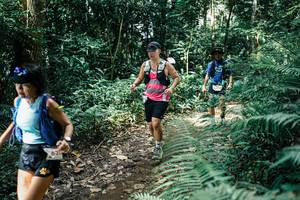 BIB: 
                            <button type="button" onclick="openModal(25518136)" class="btn btn-primary btn-sm float-right btn-popup" data-toggle="modal" data-target=".modal-high-quality">
                        <i class="fas fa-shopping-cart"></i> Add to Cart
                    </button>
                                            <button type="button" onclick="isThisMe(25518136, true)" class="btn btn-success btn-sm float-right btn-popup btn-isme hidden" data-toggle="tooltip" data-placement="bottom" title="นี่คือรูปของคุณใช่ไหม คลิกที่นี่เพื่อเอาเข้าอัลบั้ม">
                        <i class="fas fa-plus"></i> Add to album
                    </button>
                    <button type="button" onclick="isThisMe(25518136, false)" class="btn btn-warning btn-sm float-right btn-popup btn-isnotme hidden">
                        <i class="fas fa-ban"></i> Remove from album
                    </button>