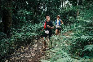 BIB: 
                            <button type="button" onclick="openModal(25506510)" class="btn btn-primary btn-sm float-right btn-popup" data-toggle="modal" data-target=".modal-high-quality">
                        <i class="fas fa-shopping-cart"></i> Add to Cart
                    </button>
                                            <button type="button" onclick="isThisMe(25506510, true)" class="btn btn-success btn-sm float-right btn-popup btn-isme hidden" data-toggle="tooltip" data-placement="bottom" title="นี่คือรูปของคุณใช่ไหม คลิกที่นี่เพื่อเอาเข้าอัลบั้ม">
                        <i class="fas fa-plus"></i> Add to album
                    </button>
                    <button type="button" onclick="isThisMe(25506510, false)" class="btn btn-warning btn-sm float-right btn-popup btn-isnotme hidden">
                        <i class="fas fa-ban"></i> Remove from album
                    </button>