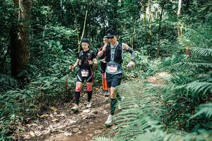 BIB: 
                            <button type="button" onclick="openModal(25515958)" class="btn btn-primary btn-sm float-right btn-popup" data-toggle="modal" data-target=".modal-high-quality">
                        <i class="fas fa-shopping-cart"></i> Add to Cart
                    </button>
                                            <button type="button" onclick="isThisMe(25515958, true)" class="btn btn-success btn-sm float-right btn-popup btn-isme hidden" data-toggle="tooltip" data-placement="bottom" title="นี่คือรูปของคุณใช่ไหม คลิกที่นี่เพื่อเอาเข้าอัลบั้ม">
                        <i class="fas fa-plus"></i> Add to album
                    </button>
                    <button type="button" onclick="isThisMe(25515958, false)" class="btn btn-warning btn-sm float-right btn-popup btn-isnotme hidden">
                        <i class="fas fa-ban"></i> Remove from album
                    </button>