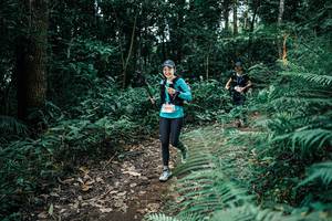 BIB: 
                            <button type="button" onclick="openModal(25517104)" class="btn btn-primary btn-sm float-right btn-popup" data-toggle="modal" data-target=".modal-high-quality">
                        <i class="fas fa-shopping-cart"></i> Add to Cart
                    </button>
                                            <button type="button" onclick="isThisMe(25517104, true)" class="btn btn-success btn-sm float-right btn-popup btn-isme hidden" data-toggle="tooltip" data-placement="bottom" title="นี่คือรูปของคุณใช่ไหม คลิกที่นี่เพื่อเอาเข้าอัลบั้ม">
                        <i class="fas fa-plus"></i> Add to album
                    </button>
                    <button type="button" onclick="isThisMe(25517104, false)" class="btn btn-warning btn-sm float-right btn-popup btn-isnotme hidden">
                        <i class="fas fa-ban"></i> Remove from album
                    </button>