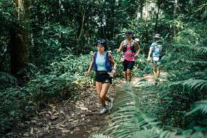 BIB: 
                            <button type="button" onclick="openModal(25518132)" class="btn btn-primary btn-sm float-right btn-popup" data-toggle="modal" data-target=".modal-high-quality">
                        <i class="fas fa-shopping-cart"></i> Add to Cart
                    </button>
                                            <button type="button" onclick="isThisMe(25518132, true)" class="btn btn-success btn-sm float-right btn-popup btn-isme hidden" data-toggle="tooltip" data-placement="bottom" title="นี่คือรูปของคุณใช่ไหม คลิกที่นี่เพื่อเอาเข้าอัลบั้ม">
                        <i class="fas fa-plus"></i> Add to album
                    </button>
                    <button type="button" onclick="isThisMe(25518132, false)" class="btn btn-warning btn-sm float-right btn-popup btn-isnotme hidden">
                        <i class="fas fa-ban"></i> Remove from album
                    </button>